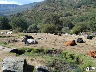 Sierra de Gredos; Barco Ávila; grupos de senderismo en madrid gratis excursiones senderismo madrid c